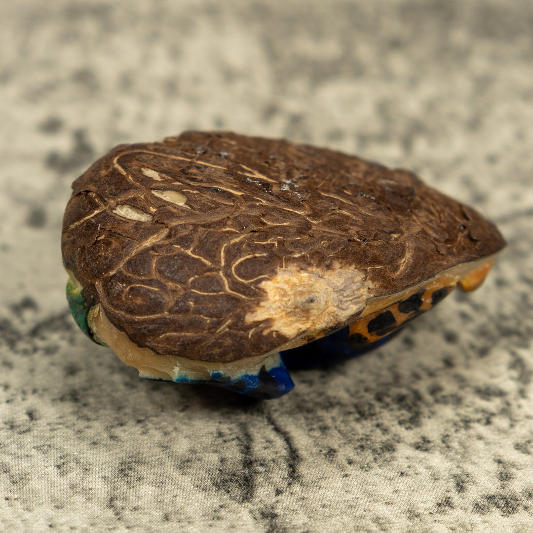 Black Gold And Blue Poison Dart Frog Tagua Carving