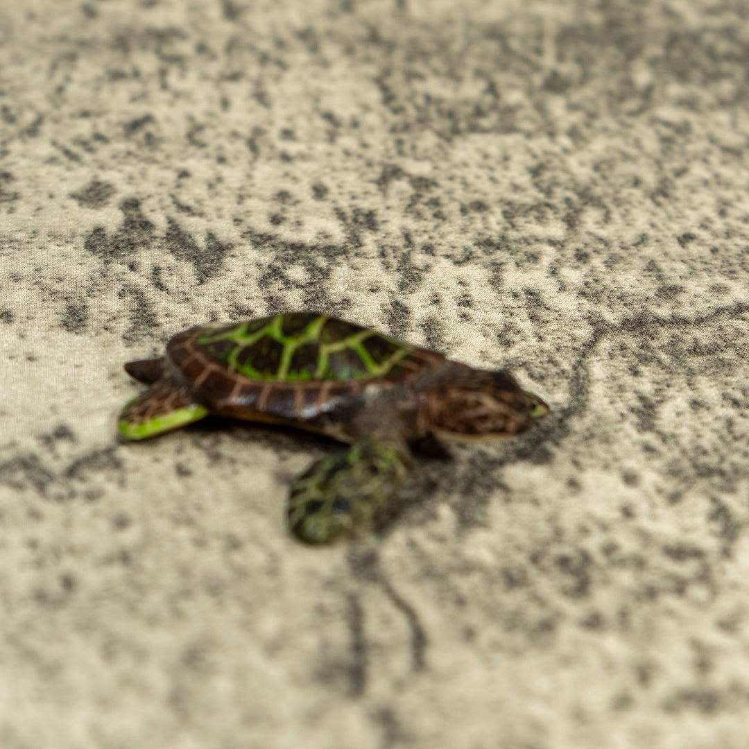 Sea Turtle Emerging From Egg Tagua Carving