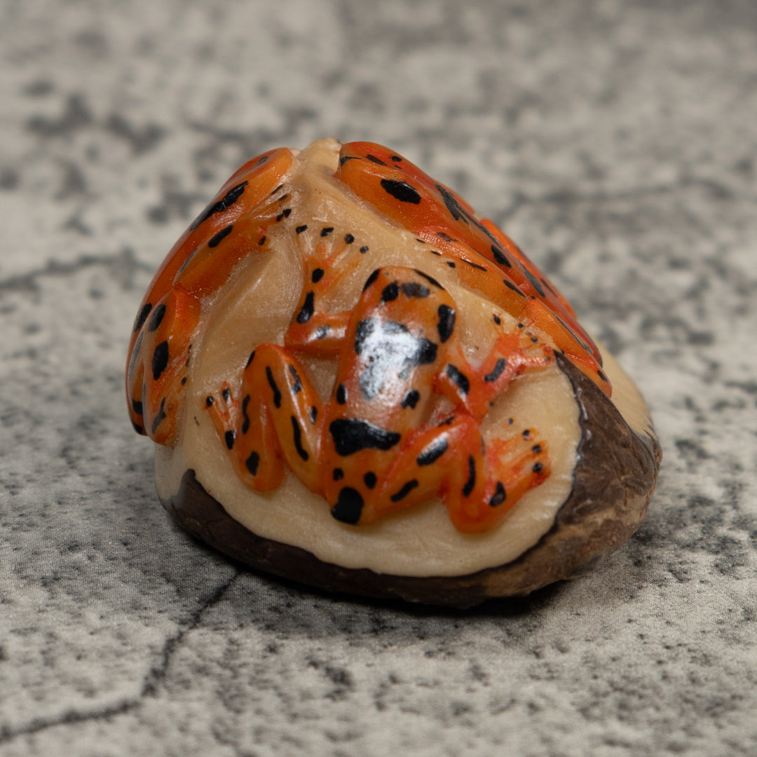 Triple Golden Frog Tagua Carving