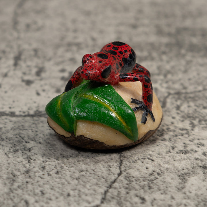 Black And Red Poison Dart Frog Tagua Carving
