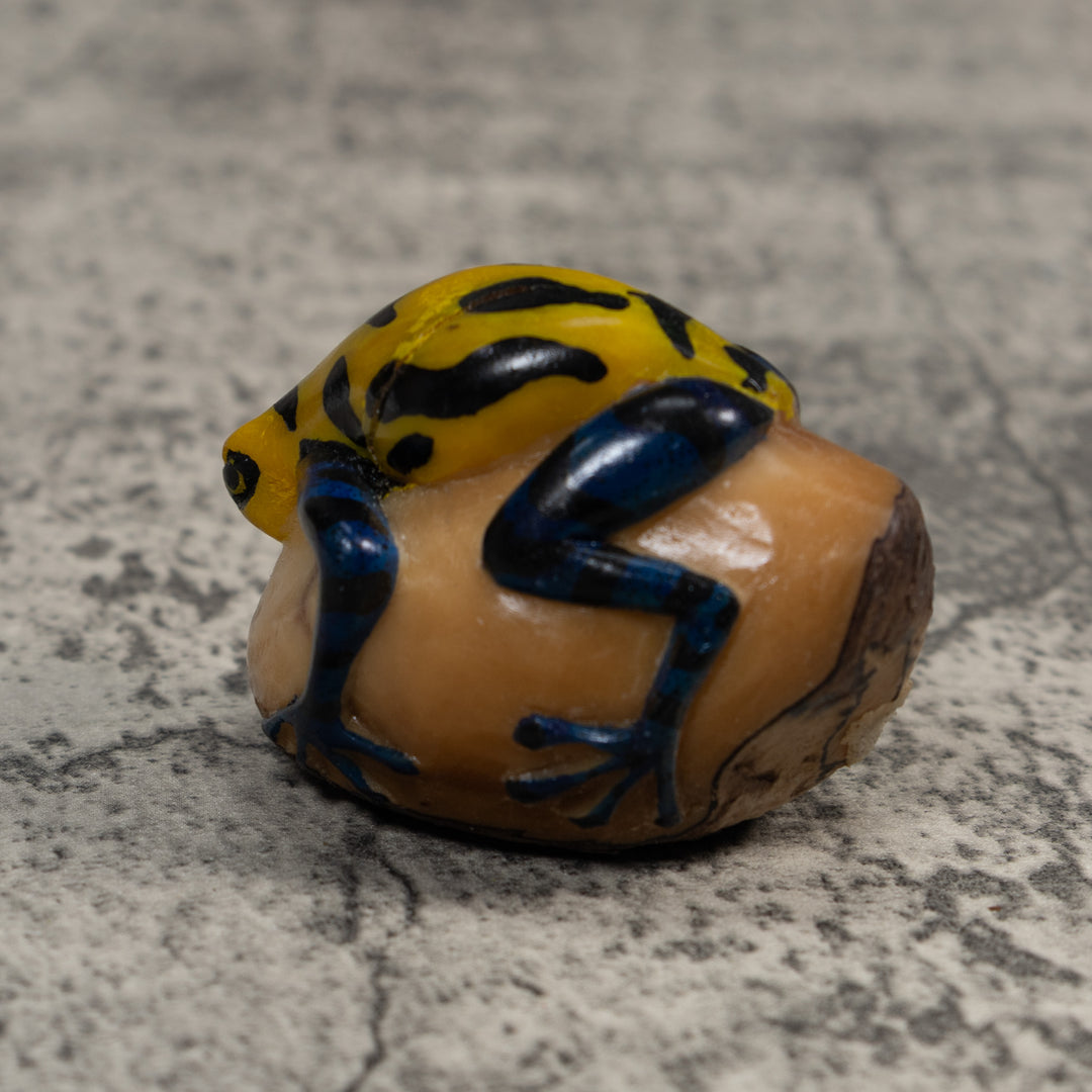 Yellow And Black Poison Dart Frog Tagua Carving