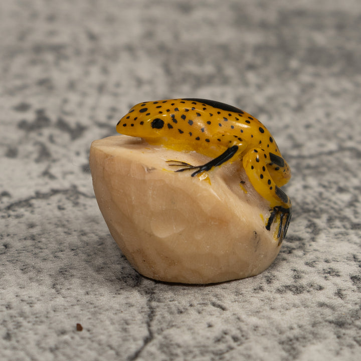 Vintage Gold spotted Frog Tagua Carving