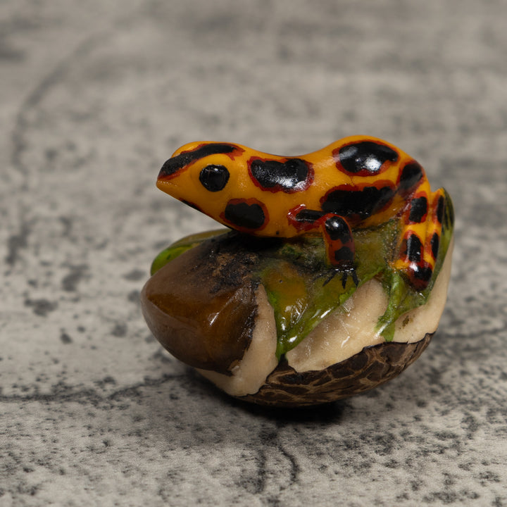 Poison Dart Frog Tagua Carving