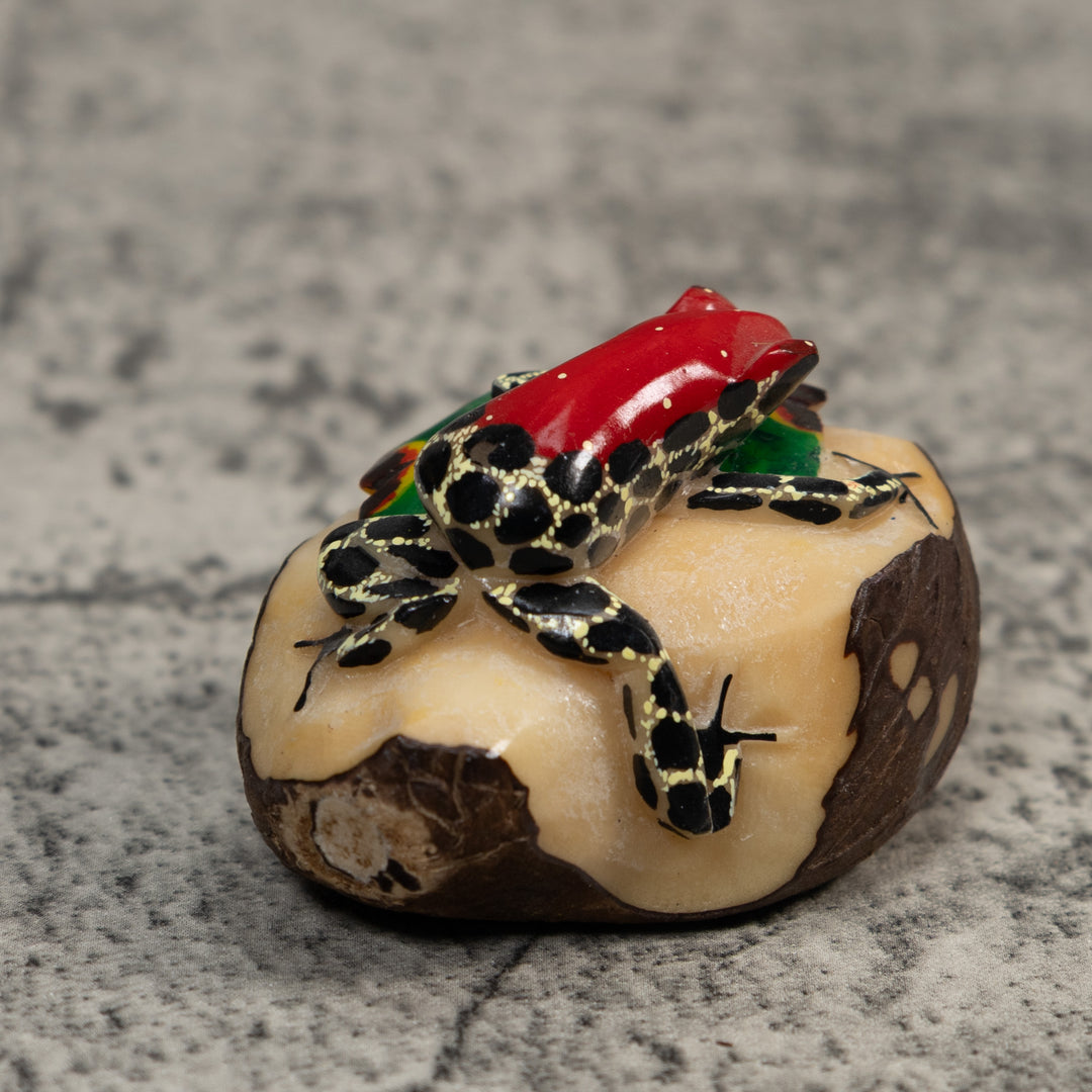 Red Black And Yellow Poison Dart Frog Tagua Carving