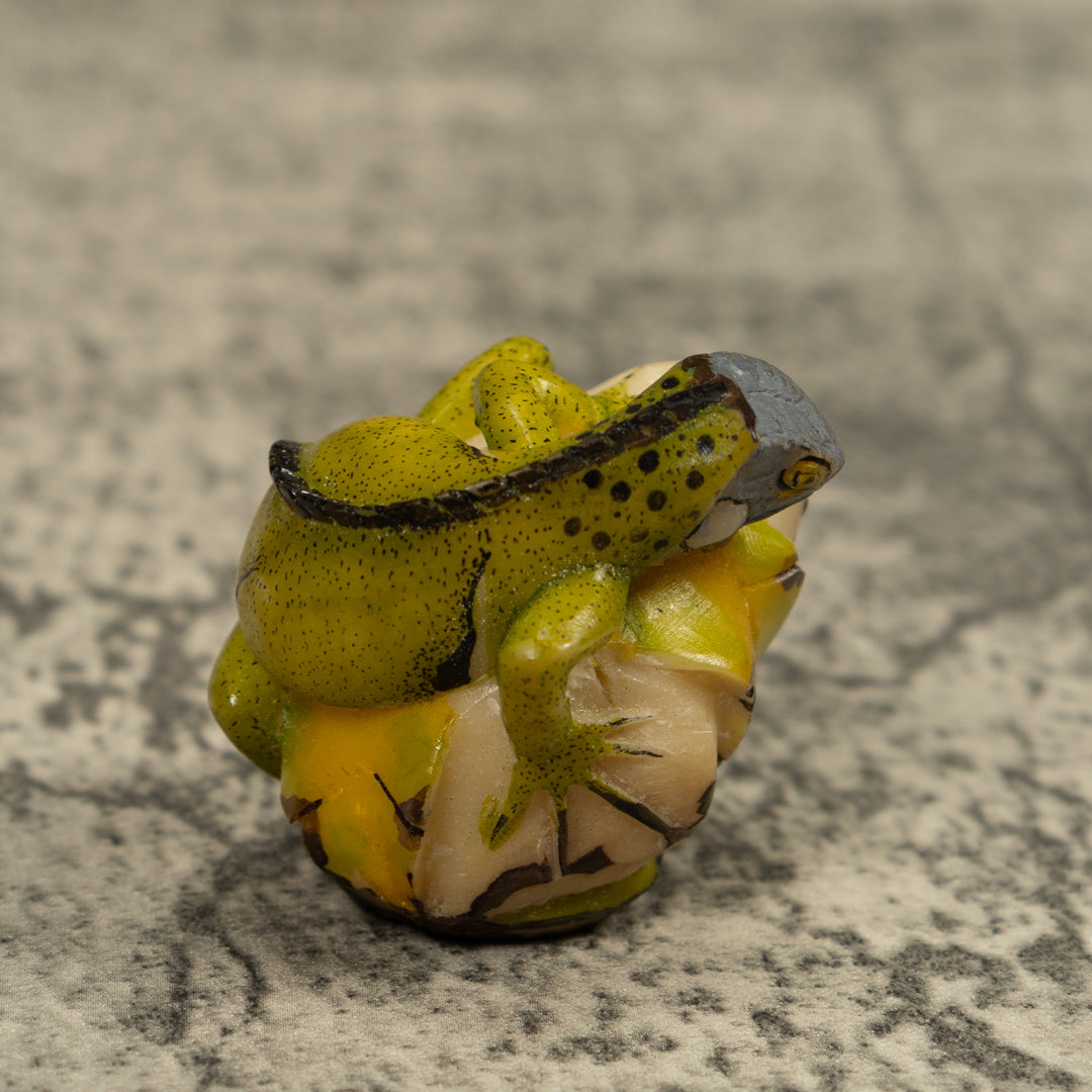 Iguana Lizard Reptile Tagua Carving