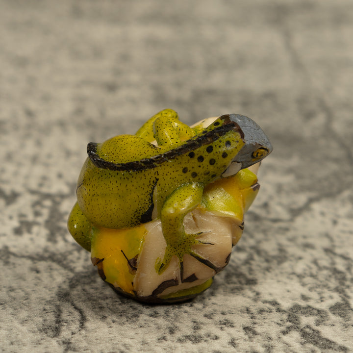 Iguana Lizard Reptile Tagua Carving