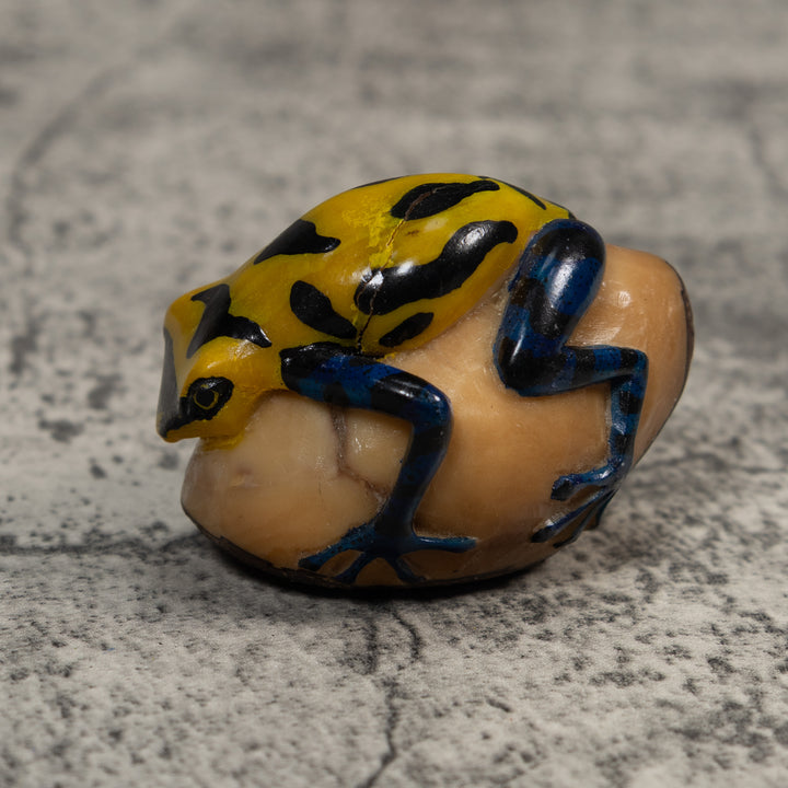 Yellow And Black Poison Dart Frog Tagua Carving
