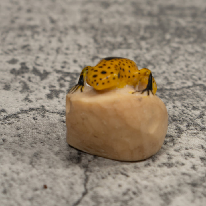 Vintage Gold spotted Frog Tagua Carving