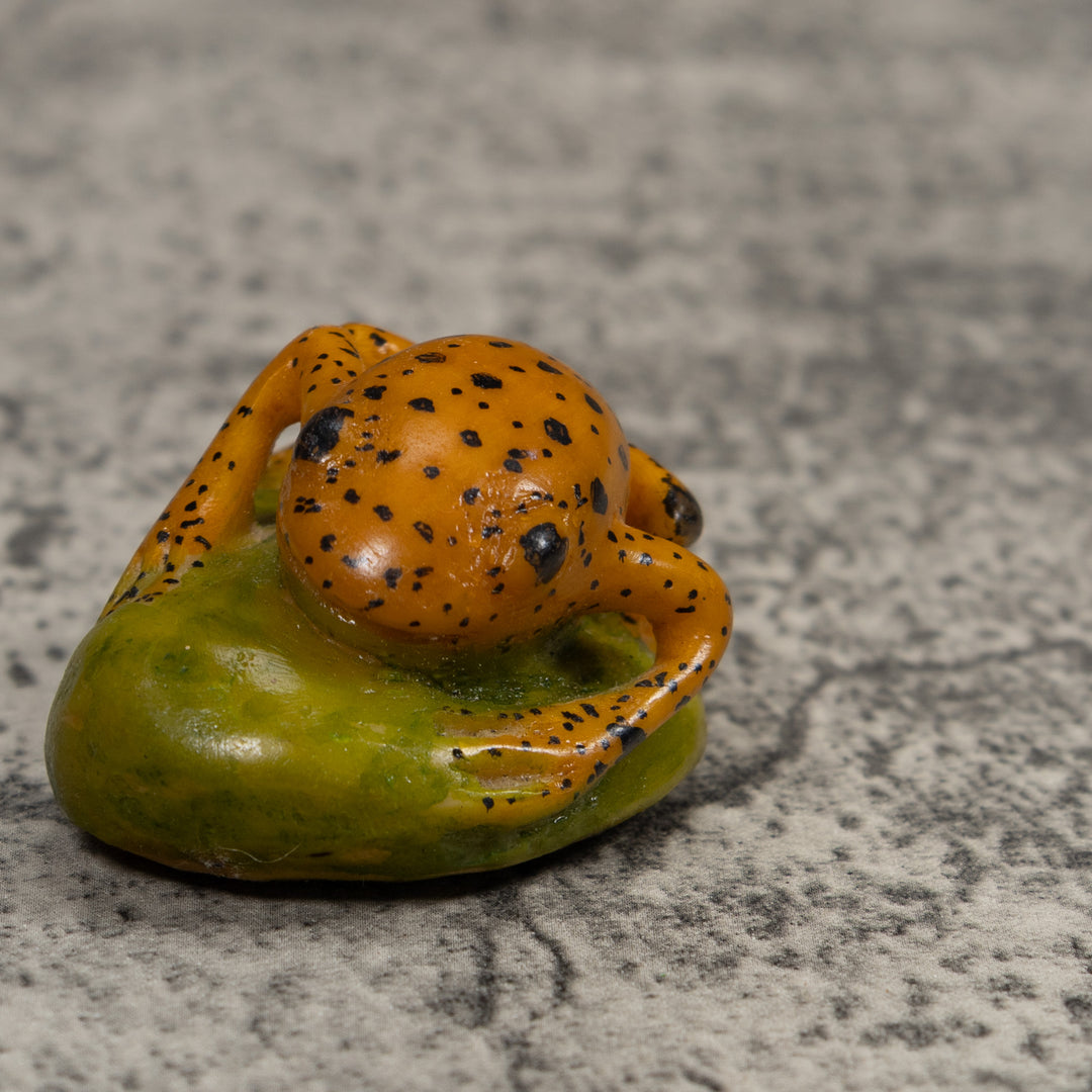 Vintage Frog Tagua Carving