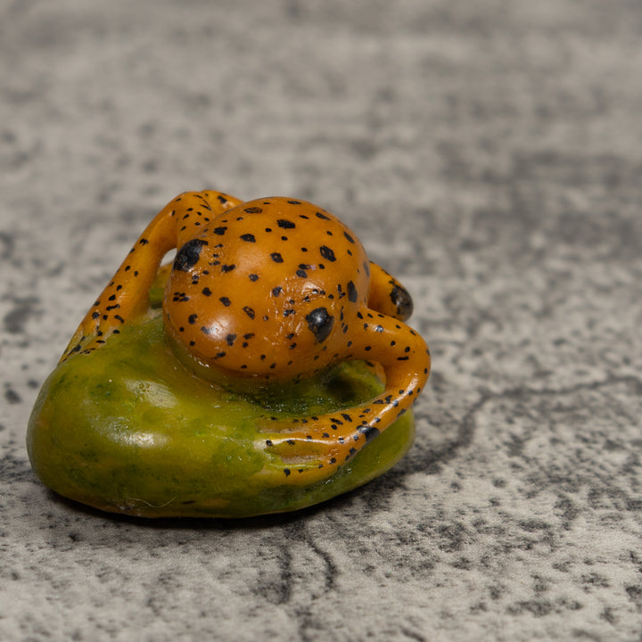 Vintage Frog Tagua Carving