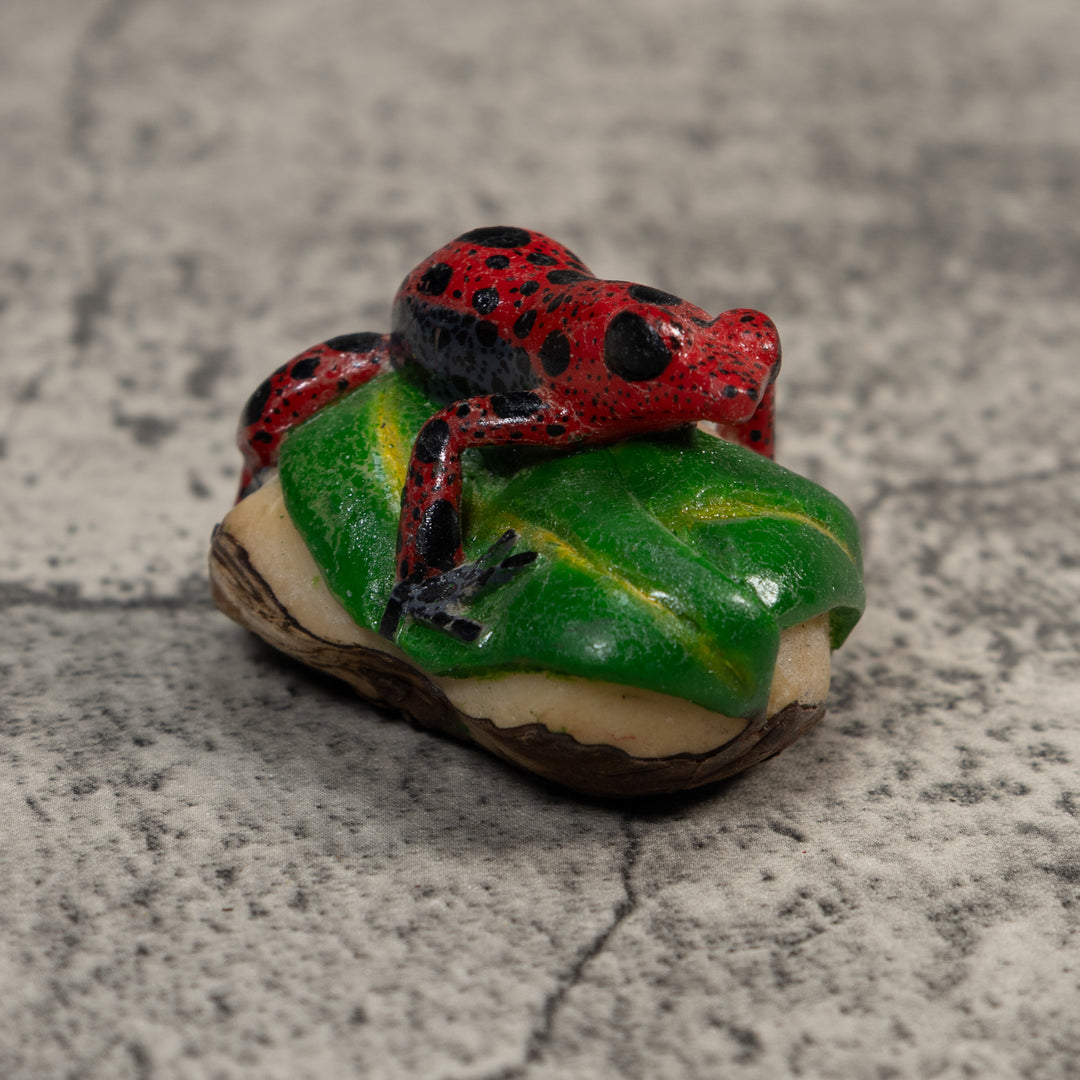 Black And Red Poison Dart Frog Tagua Carving