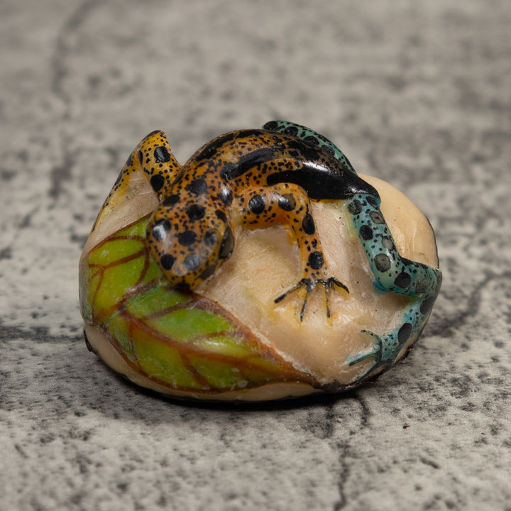 Vintage Blue Gold And Black Poison Dart Frog Tagua Carving