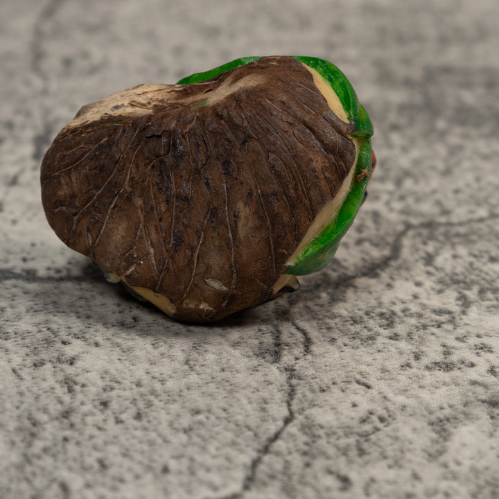 Black And Red Poison Dart Frog Tagua Carving