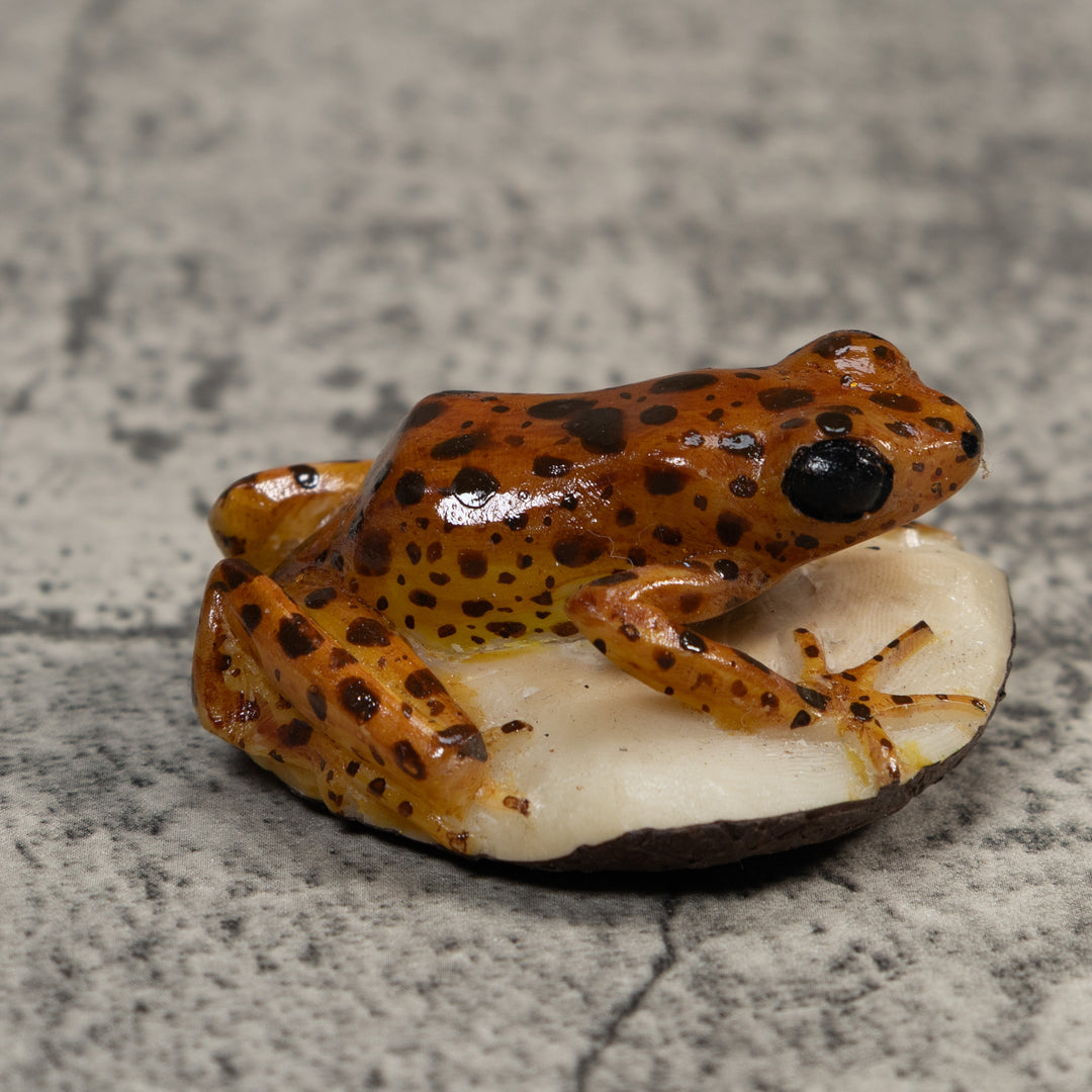 Brown And Black Jungle Frog Tagua Carving
