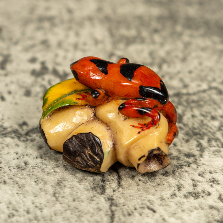 Orange And Black Poison Dart Frog Tagua Carving