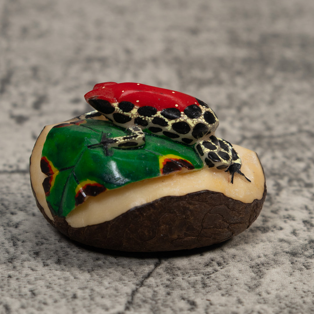Red Black And Yellow Poison Dart Frog Tagua Carving