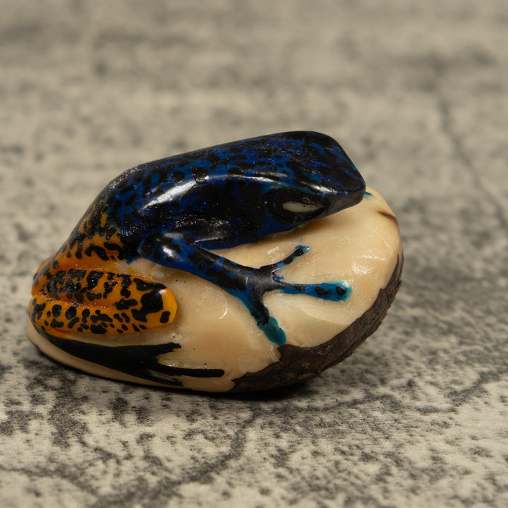 Poison Dart Frog Tagua Carving