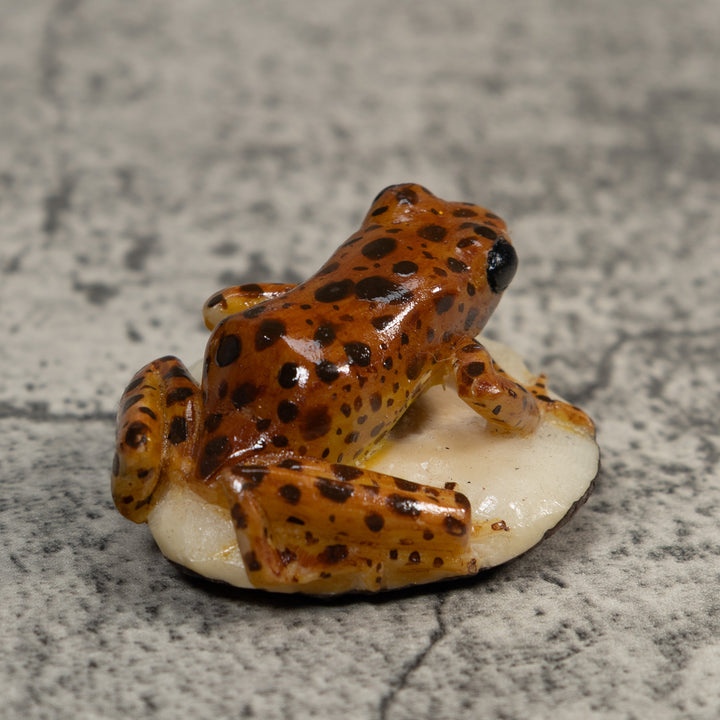 Brown And Black Jungle Frog Tagua Carving