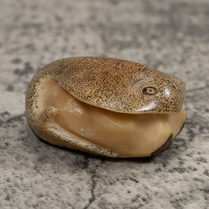 Vintage Stingray Tagua Carving