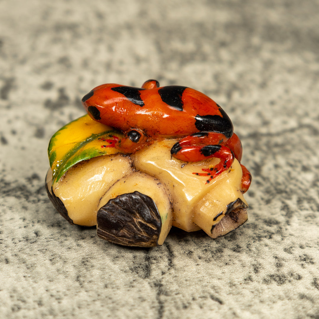 Orange And Black Poison Dart Frog Tagua Carving