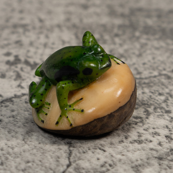 Vintage Green And Black Poison Dart Frog Tagua Carving