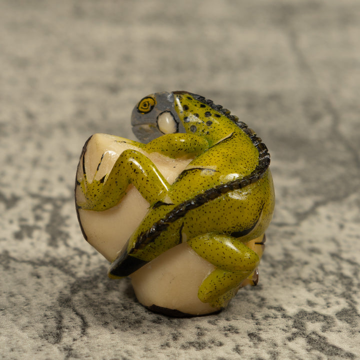 Iguana Lizard Reptile Tagua Carving