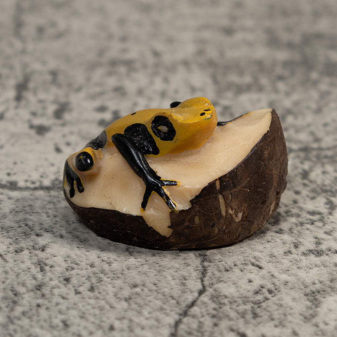 Vintage Black And Yellow Frog Tagua Carving