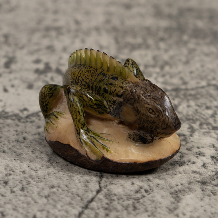 Iguana Lizard Reptile Tagua Carving