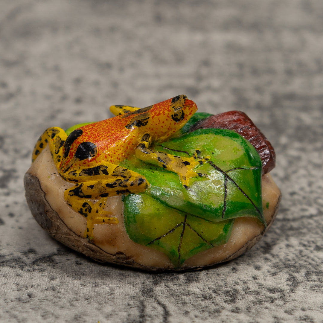 Poison Dart Frog Tagua Carving