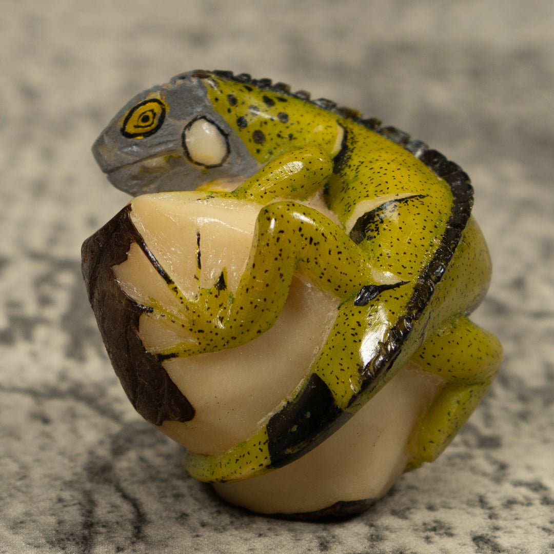 Iguana Lizard Reptile Tagua Carving