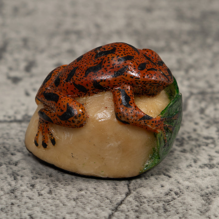 Vintage Red Black And Green Frog Tagua Carving