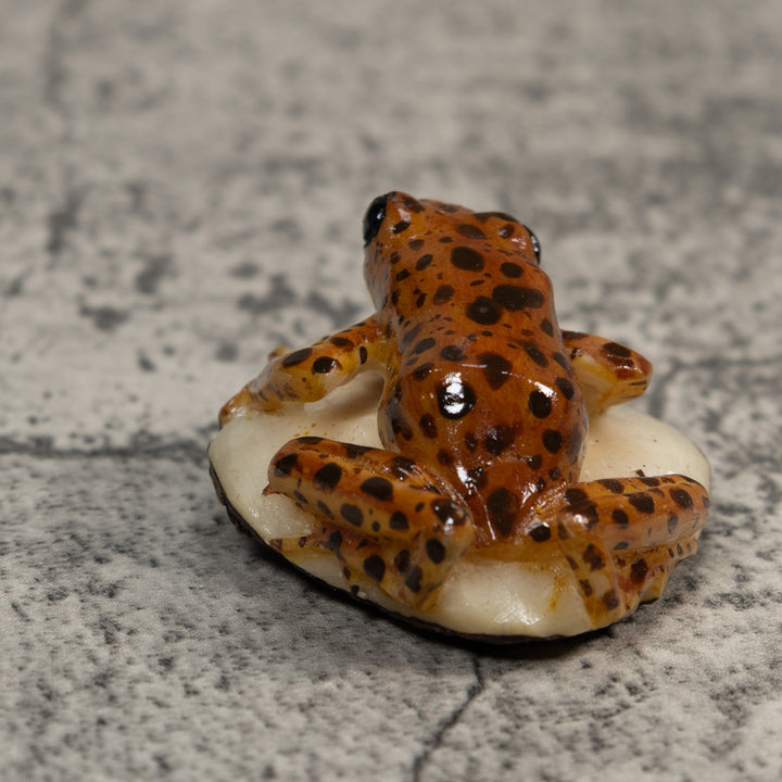 Brown And Black Jungle Frog Tagua Carving