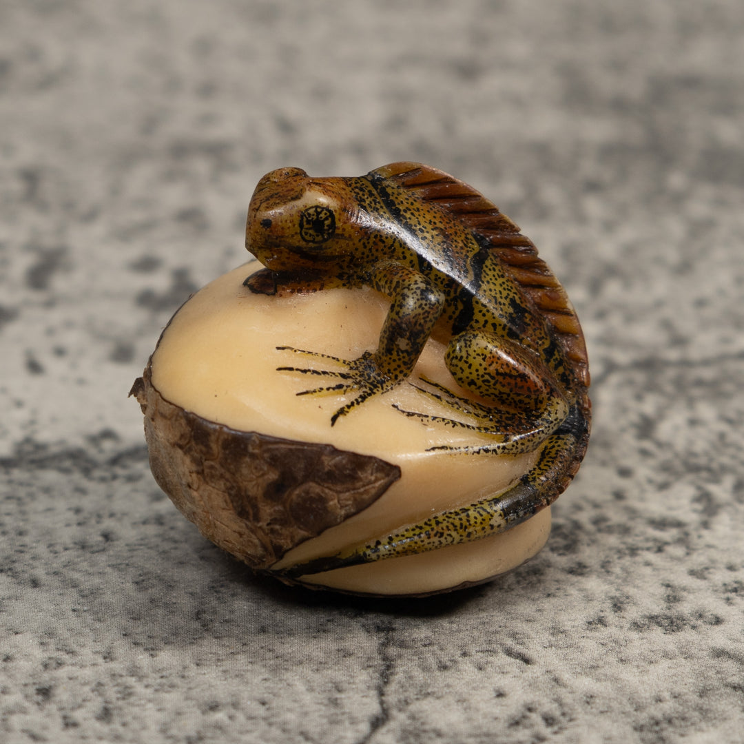 Brown And Black Iguana Lizard Tagua Carving