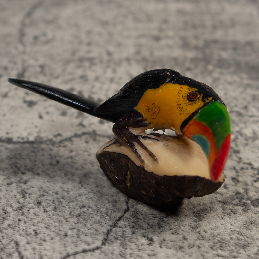 Toucan Parrot Bird Tagua Carving
