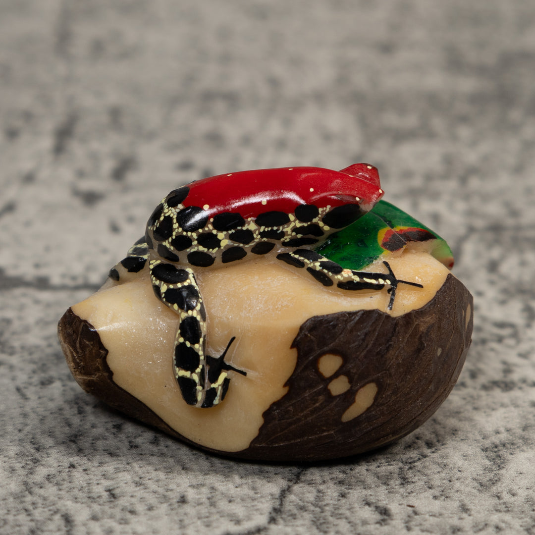Red Black And Yellow Poison Dart Frog Tagua Carving