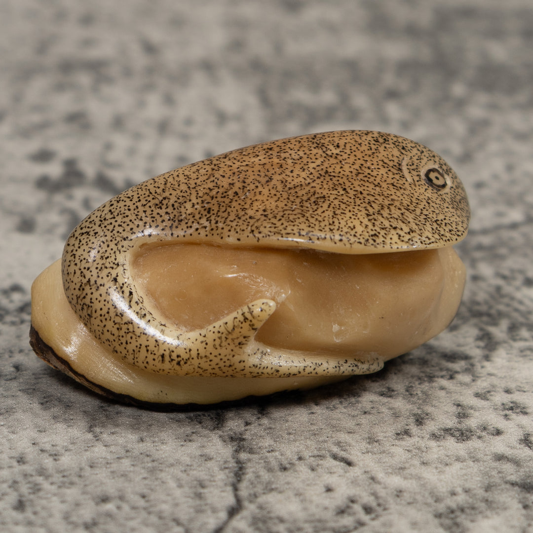 Vintage Stingray Tagua Carving