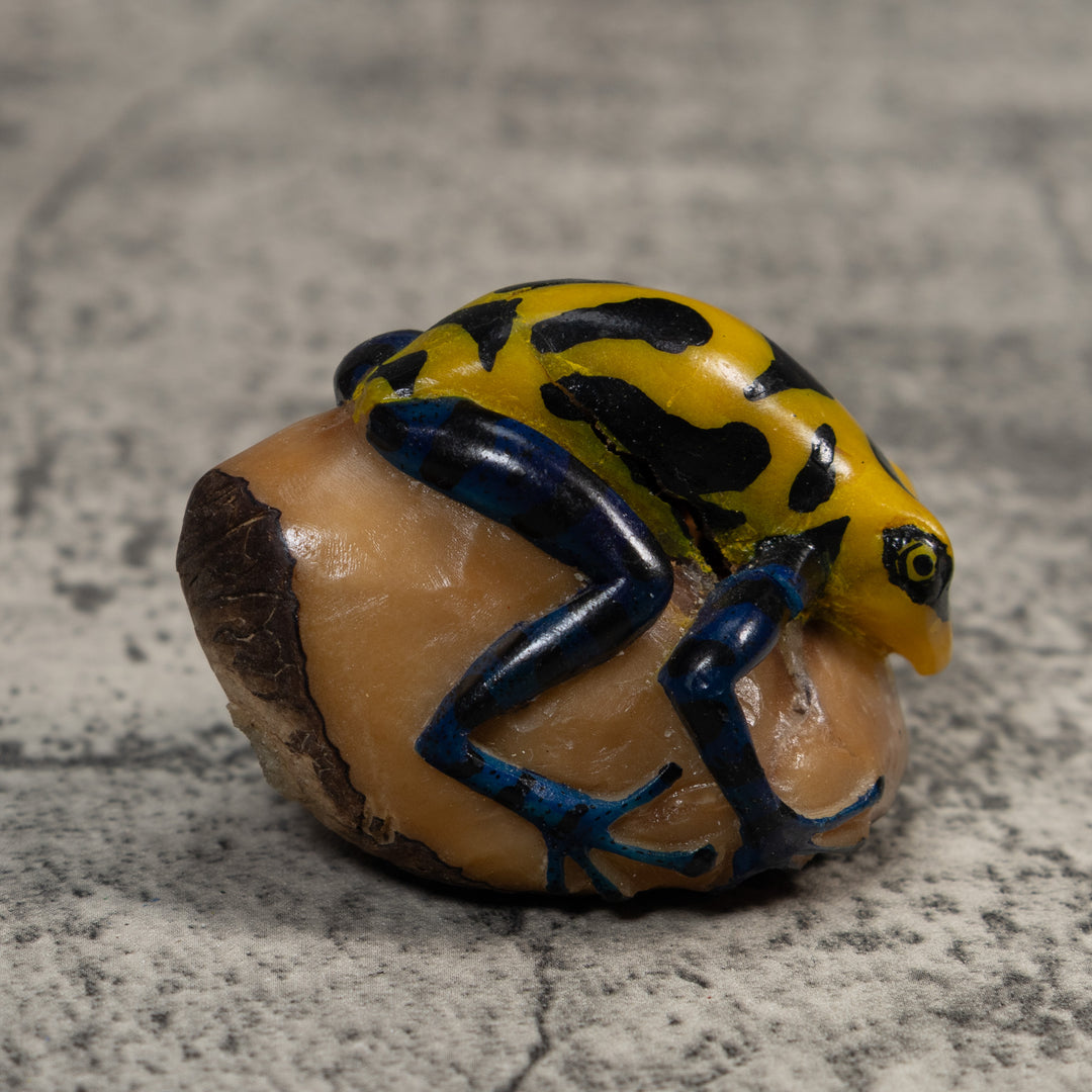 Yellow And Black Poison Dart Frog Tagua Carving
