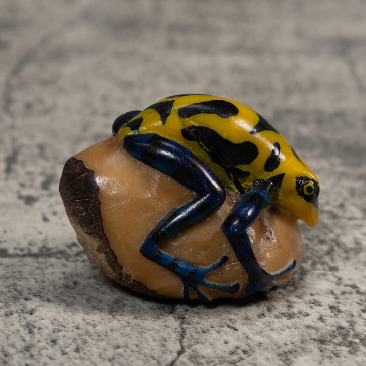 Yellow And Black Poison Dart Frog Tagua Carving