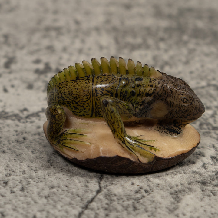 Iguana Lizard Reptile Tagua Carving