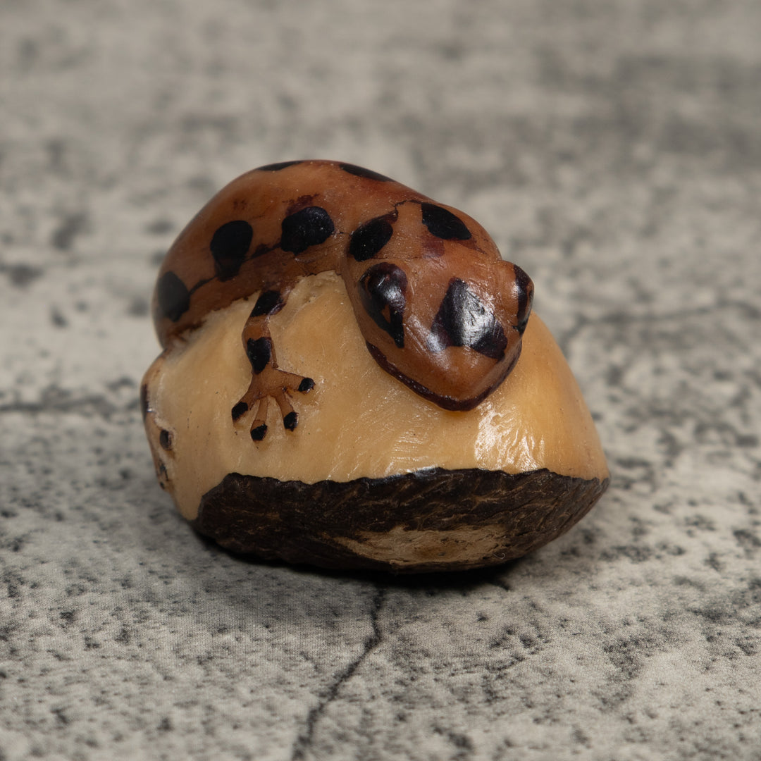 Brown And Black Gecko Lizard Tagua Carving