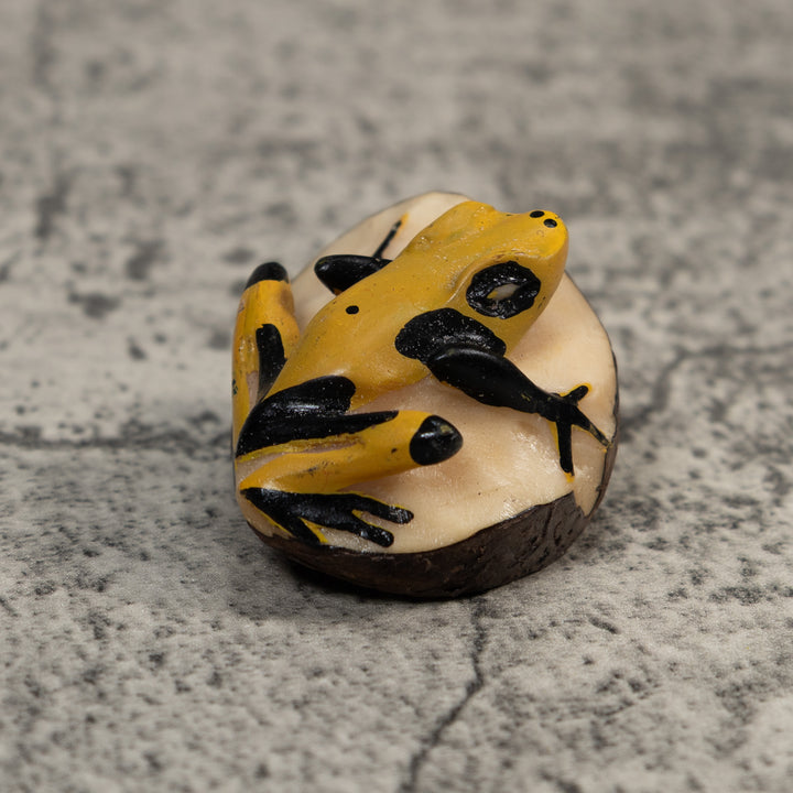 Vintage Black And Yellow Frog Tagua Carving
