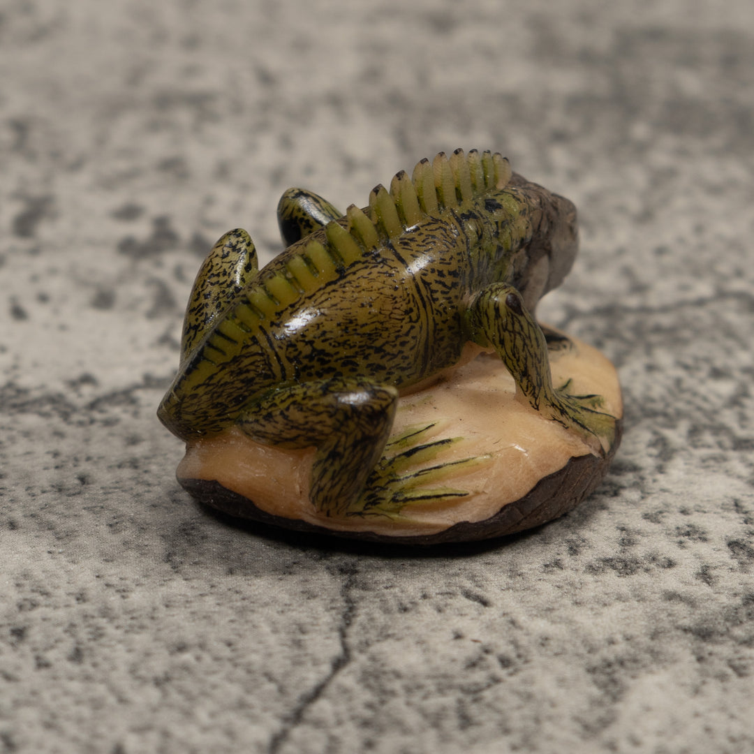 Iguana Lizard Reptile Tagua Carving