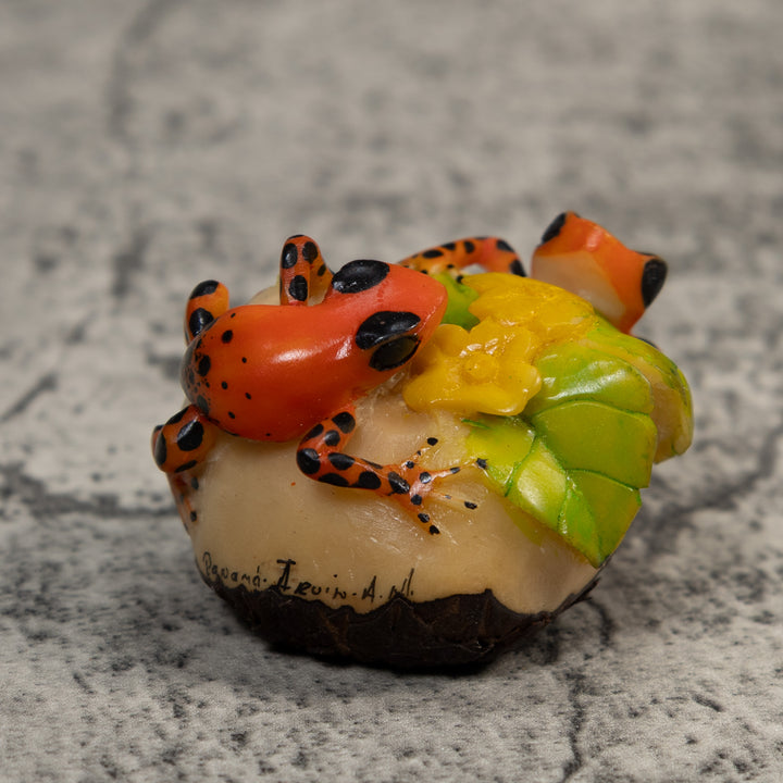 Orange And Black Double Poison Dart Frog Tagua Carving