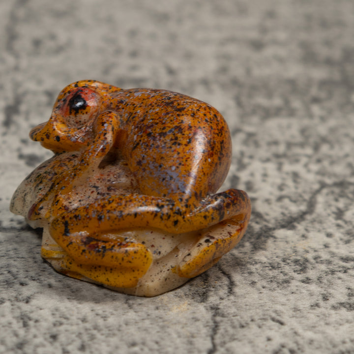 Sprinkled Orange Poison Dart Frog Tagua Carving