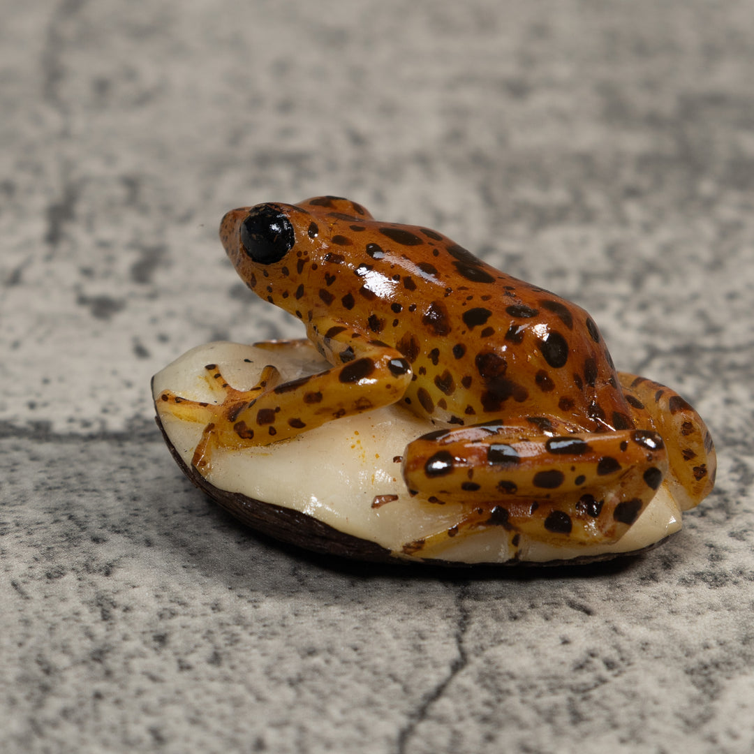 Brown And Black Jungle Frog Tagua Carving