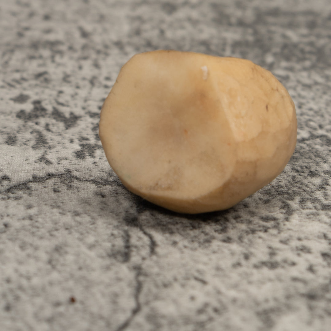 Vintage Gold spotted Frog Tagua Carving