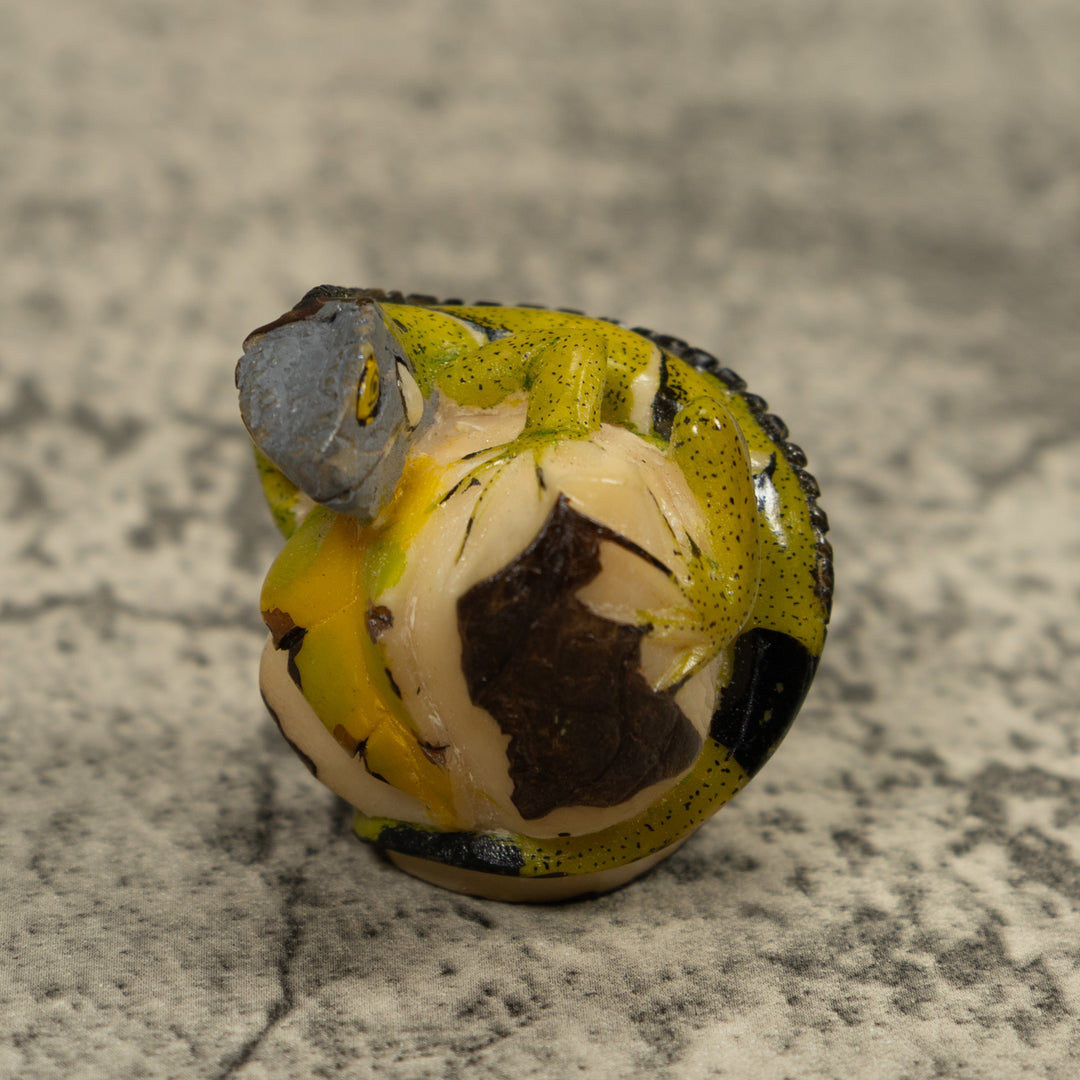 Iguana Lizard Reptile Tagua Carving