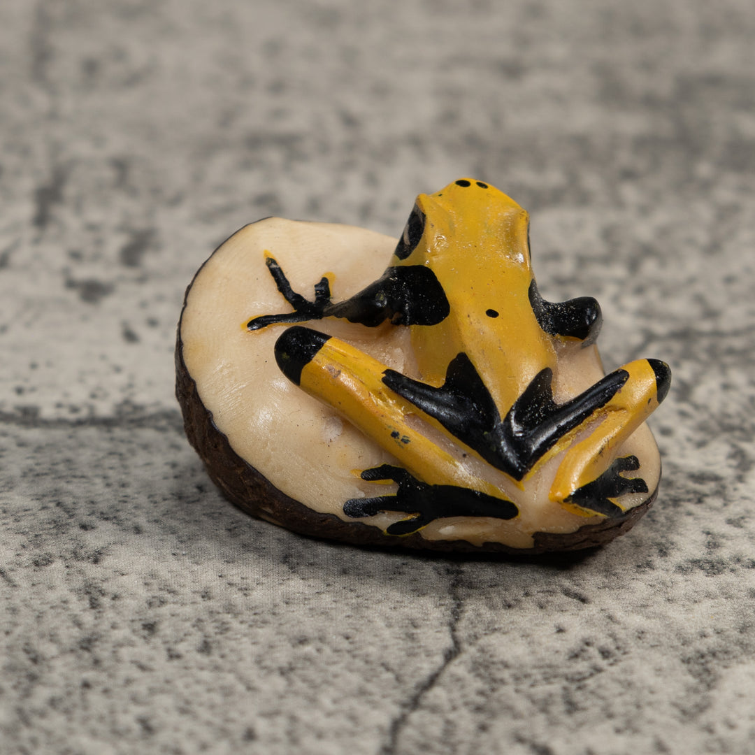 Vintage Black And Yellow Frog Tagua Carving