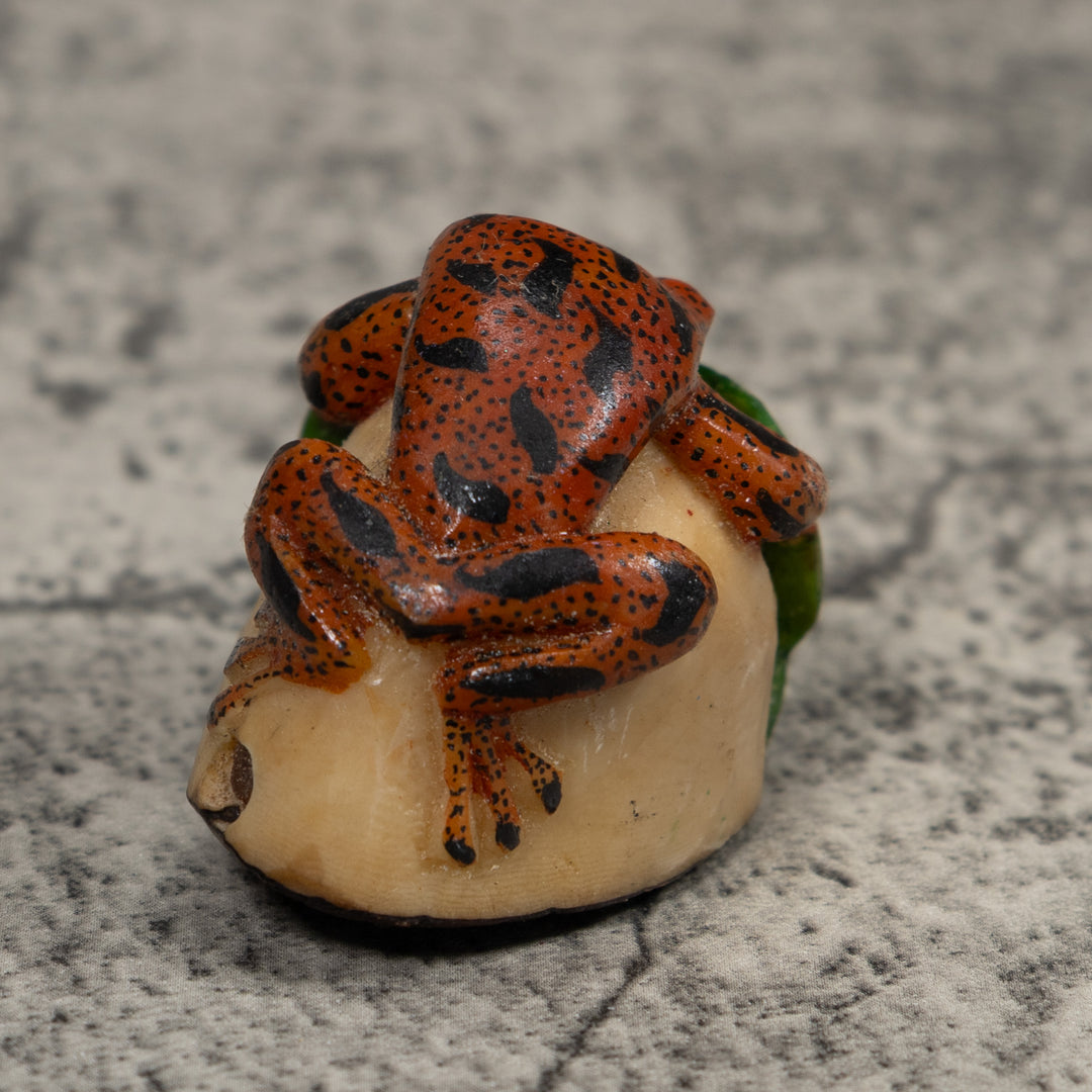 Vintage Red Black And Green Frog Tagua Carving