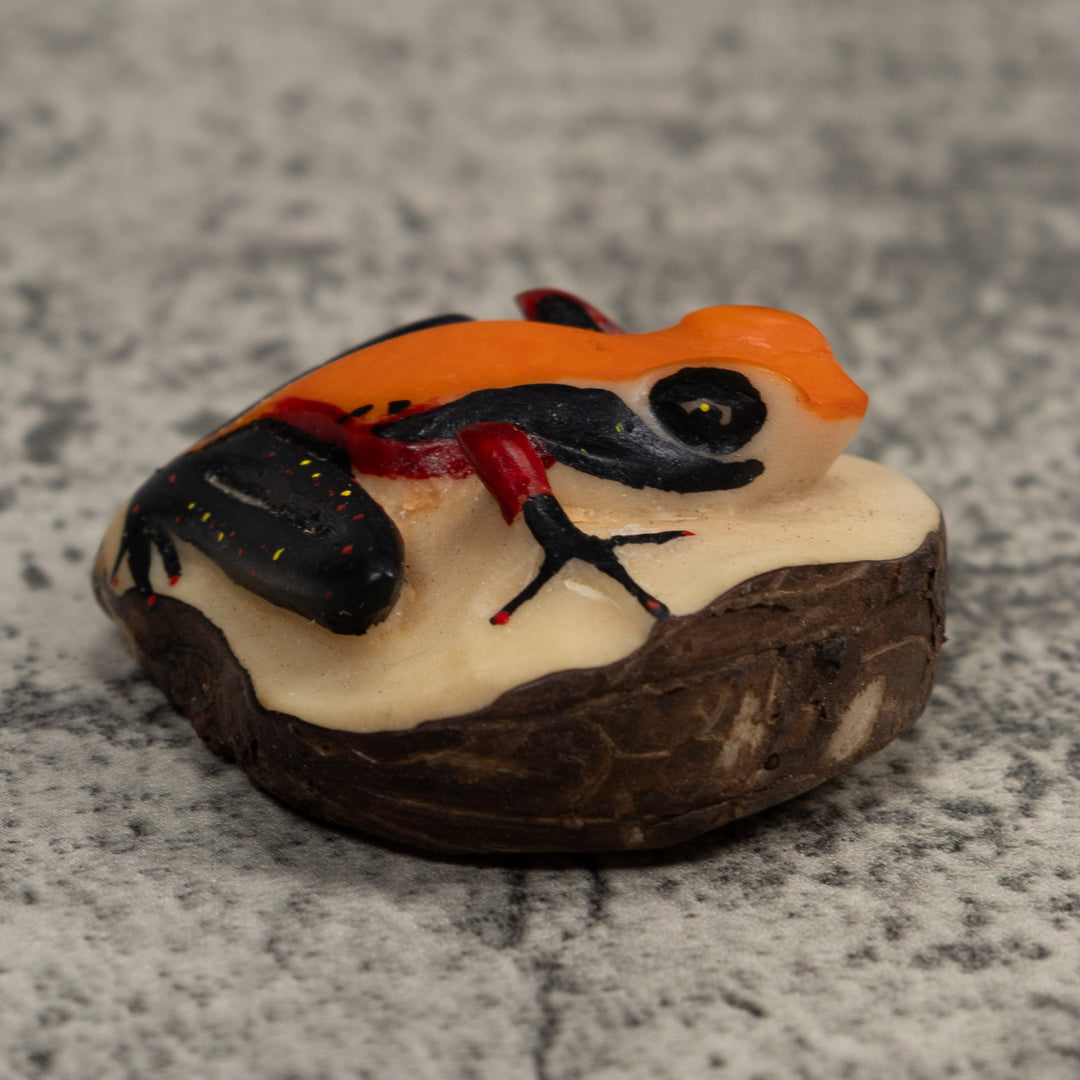 Vintage Orange And Black Frog Tagua Carving